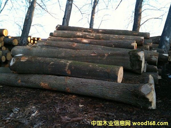 �W��ˮ������Ԕ��(x��)��B