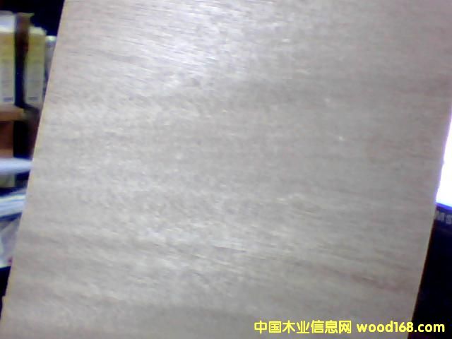 ��ľ�����Ԕ����B