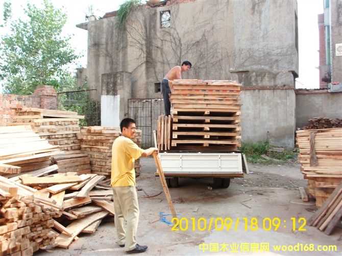 �c(di��n)���鿴��ľ��ľ�Ŵ�DƬ