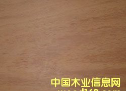 �һ�о��Ԕ����B