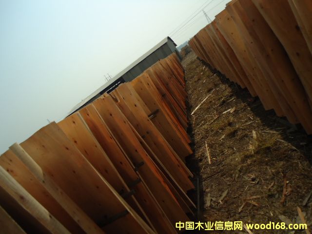 ��ľо�ΰ��Ԕ��(x��)��B