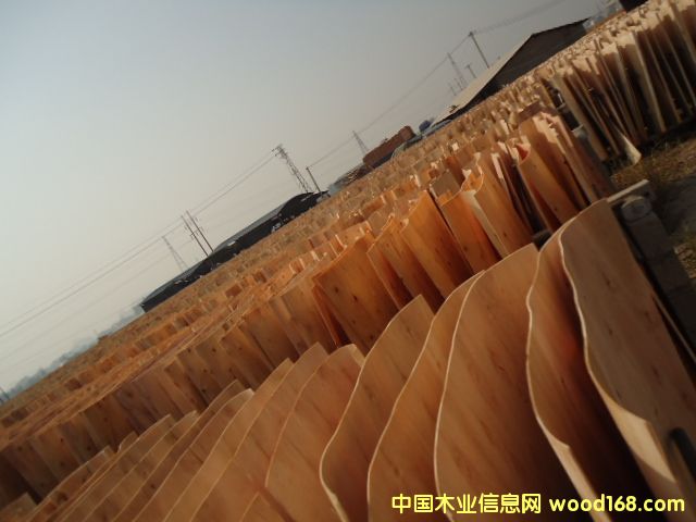 ��ľо�ΰ��Ԕ��(x��)��B