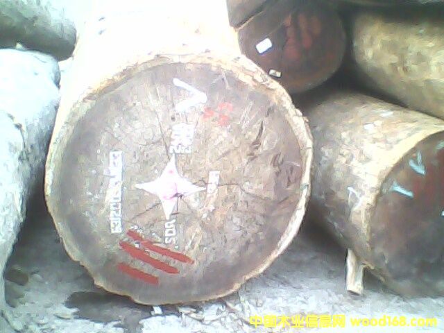 ɳ������Ԕ����B