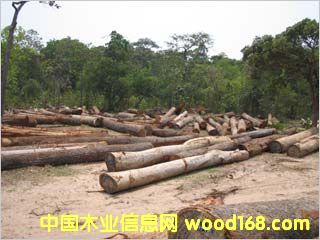 �t���ҵ�Ԕ����B