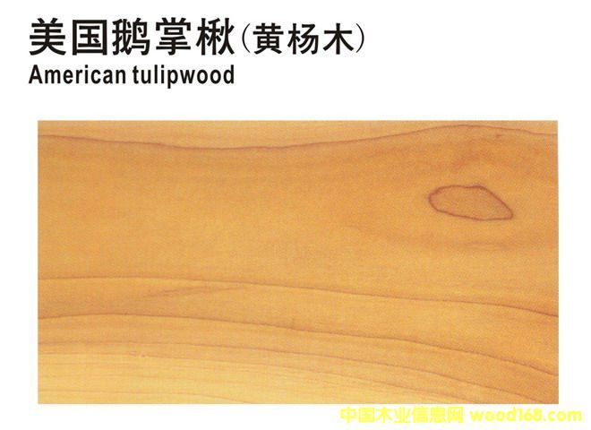 �����Z���ľ(�S��ľ)��Ԕ��(x��)��B