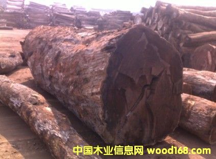 ��Ƥ�ҵ�Ԕ��(x��)��B