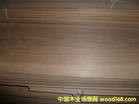 �ذ�ľƤ��Ԕ����B