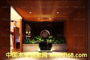 ��Ȫ��Ԕ����B