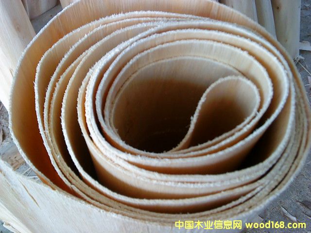 ��ľ�ΰ��Ԕ��(x��)��B