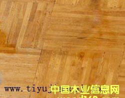 �M(j��n)���w��ľ�ذ��Ԕ��(x��)��B