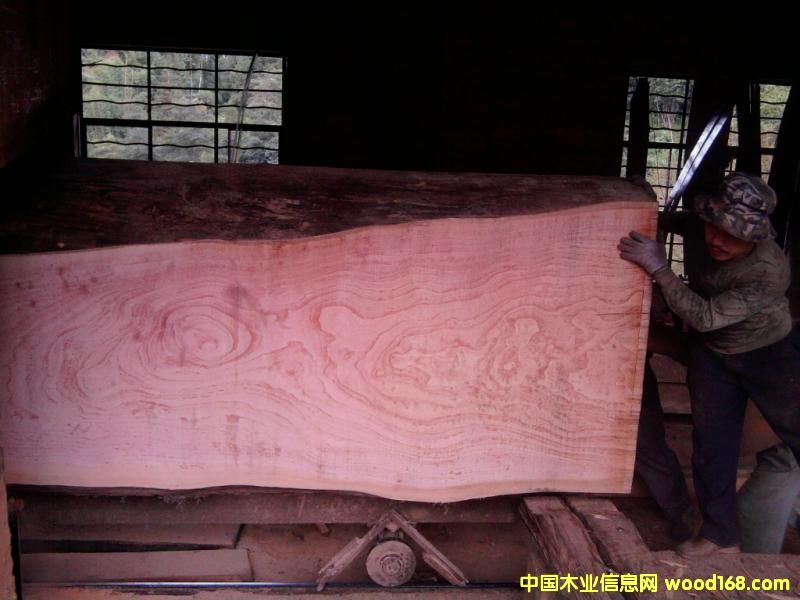 ��ľ��Ԕ����B