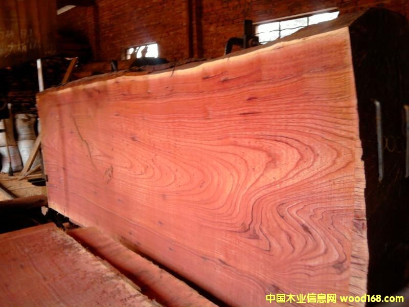 ��ľ����Ԕ����B