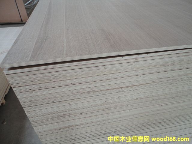 ����ģ�����z�ϰ������b���Ԕ����B