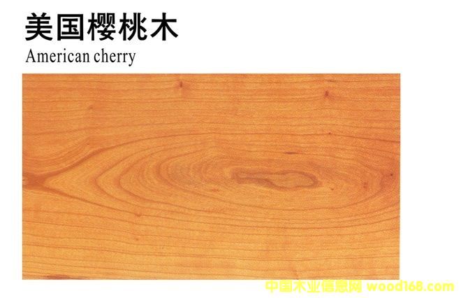 ����(gu��)����ľ��Ԕ��(x��)��B