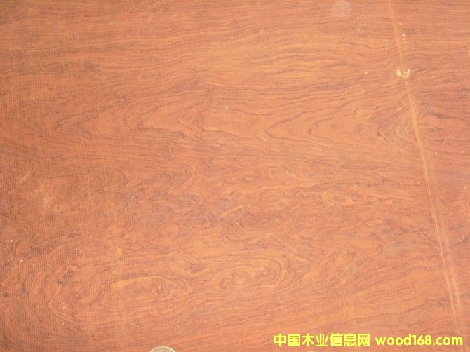 �ͻ���Ԕ��(x��)��B