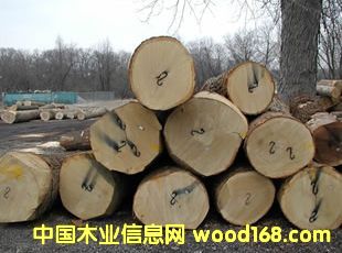 �״�ľԭľ��Ԕ��(x��)��B