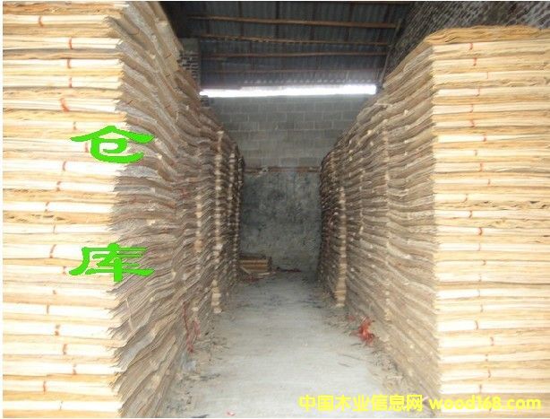 ��ľ�ΰ��Ԕ����B