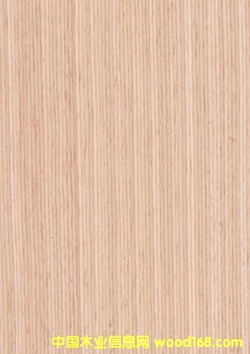 �Ƽ�ľľƤ��Ԕ��(x��)��B