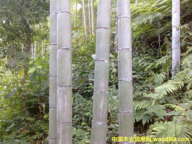 ë���Ԕ����B