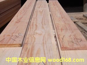 ݗ���ɟo��(ji��)���1��Ԕ��(x��)��B