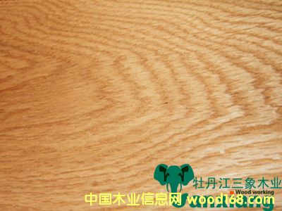 ��ľA��(j��)��ɽ�y��Ԕ��(x��)��B