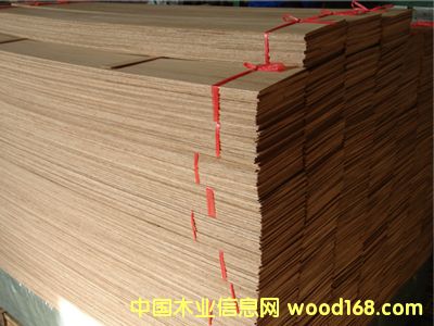 ��������Ԕ��(x��)��B