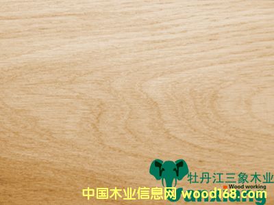 ��ľ����C��(j��)��ɽ�y��Ԕ��(x��)��B