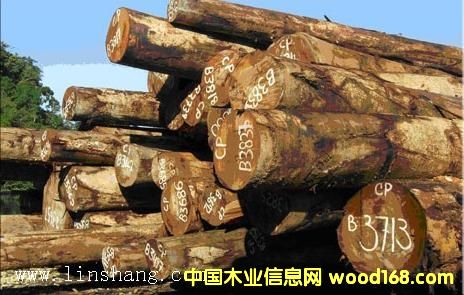 ��ľ���������_�T���󏽣���Ԕ��(x��)��B