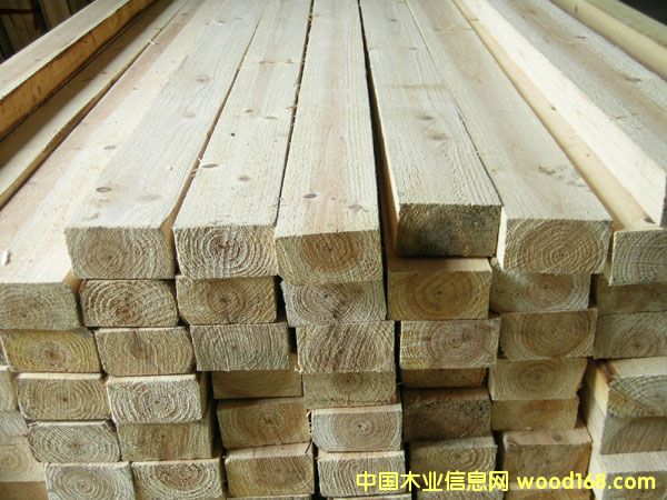 ľ����Ԕ��(x��)��B