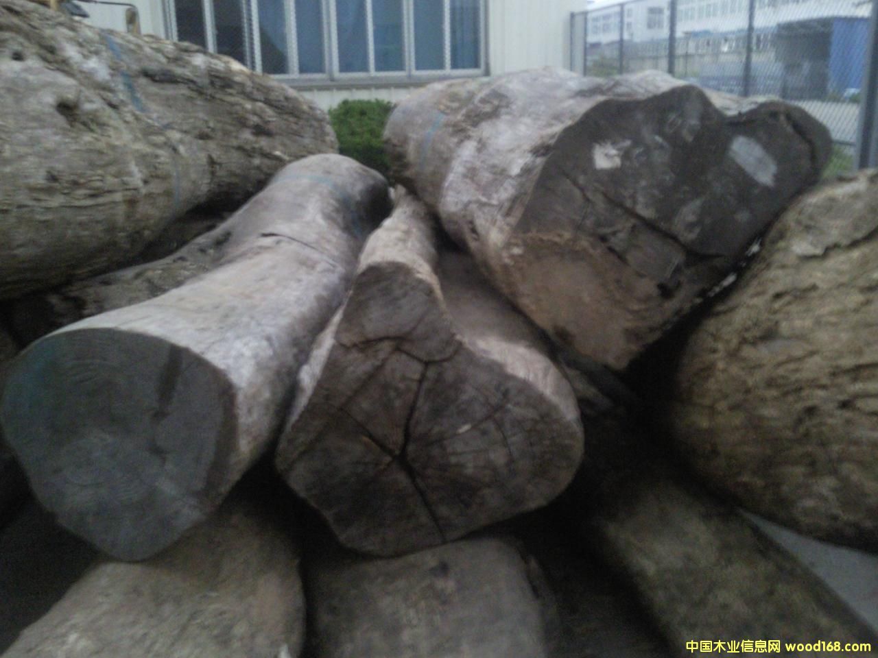 �ϓ뻨��ԭľ��Ԕ����B