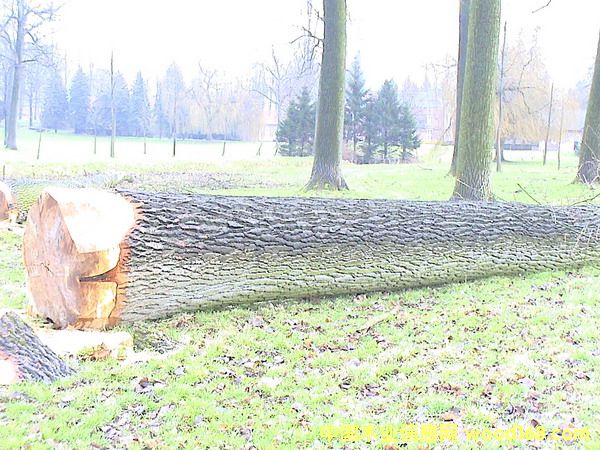 �W�ޗ�ľԭľ��Ԕ����B