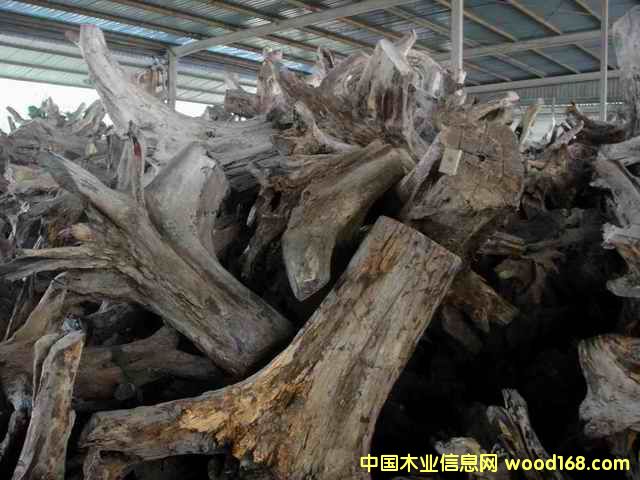 �ϓ�t��֦���^�������Ԕ����B