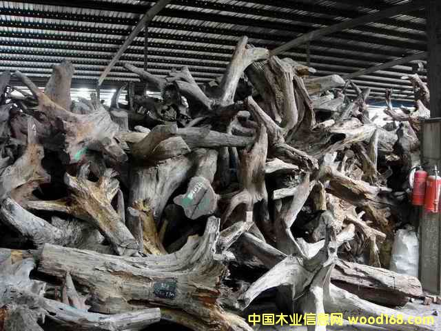 �ϓ�t��֦���^�������Ԕ����B