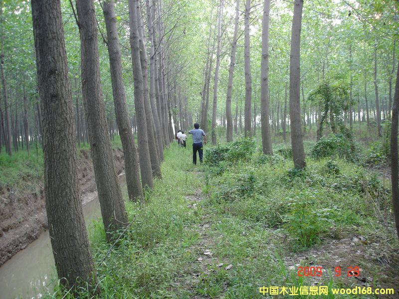 ��ľԭľ��Ԕ����B