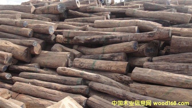 �ϓ��t��֦���ϵ�Ԕ����B