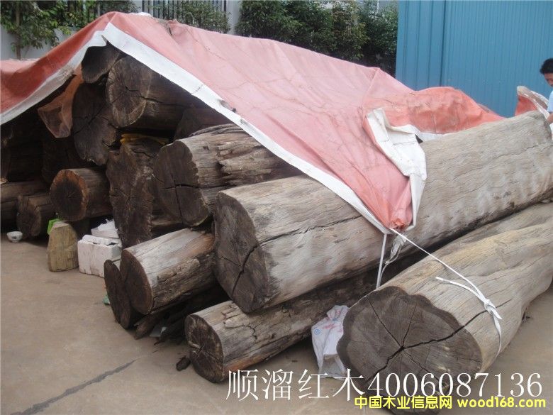 �������֦��Ԕ����B