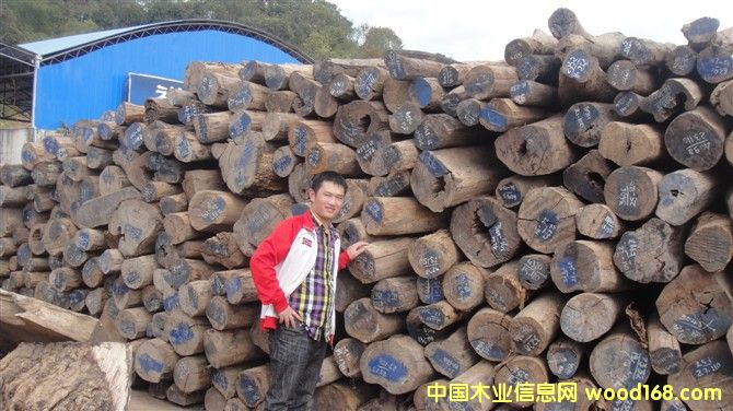 �ϓ��t��֦��Ԕ����B