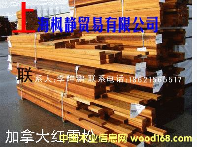 �tѩ�ɵ�Ԕ��(x��)��B