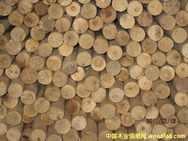 ��ľ��о��Ԕ����B