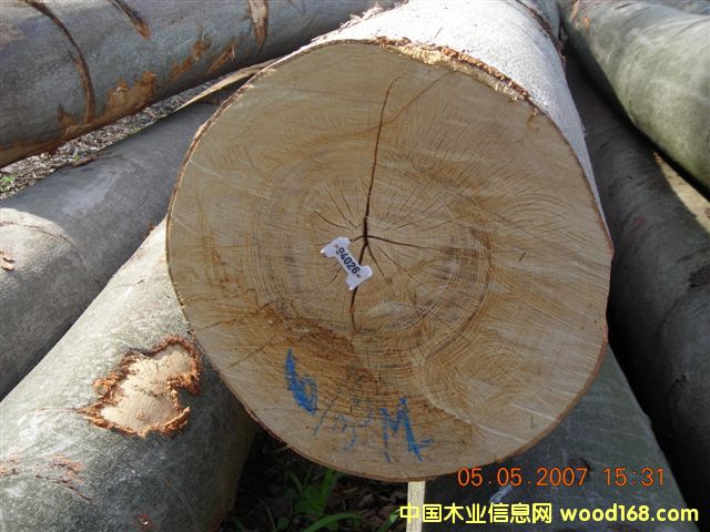 ɽë��ľ��Ԕ����B