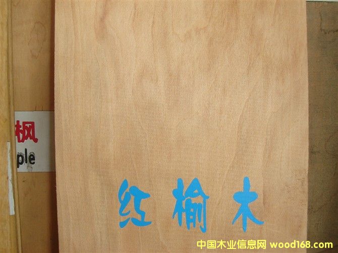 �c(di��n)���鿴�t��ľ�Ŵ�DƬ