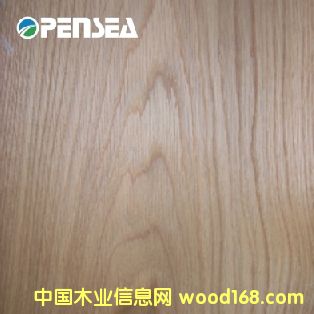 �����Ԕ��(x��)��B