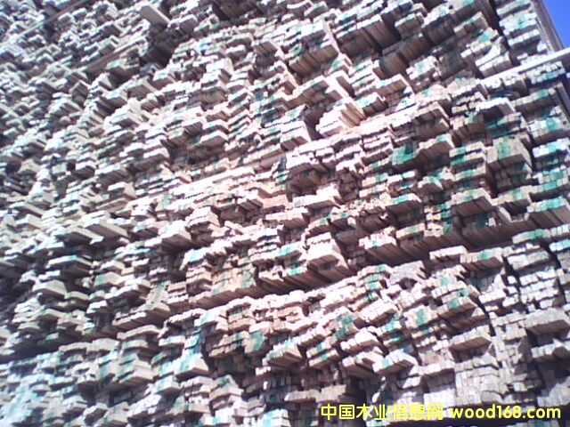 ľ����ľ��������Ԕ��(x��)��B