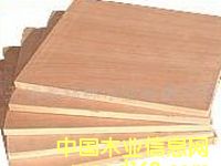 �ߙn�Ҿ��ð��Ԕ����B