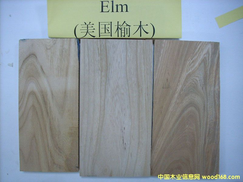 FSC��ľ��ģ�Elm��
