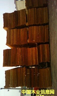 ݗ������Ƥ��Ԕ��(x��)��B