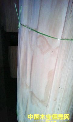 ݗ������Ƥ��Ԕ��(x��)��B