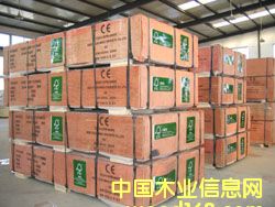 �c(di��n)���鿴ȫ��ľ�z�ϰ�Ŵ�DƬ