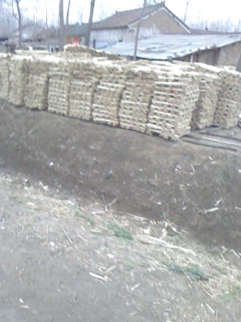 ��ľľ�S��Ԕ����B