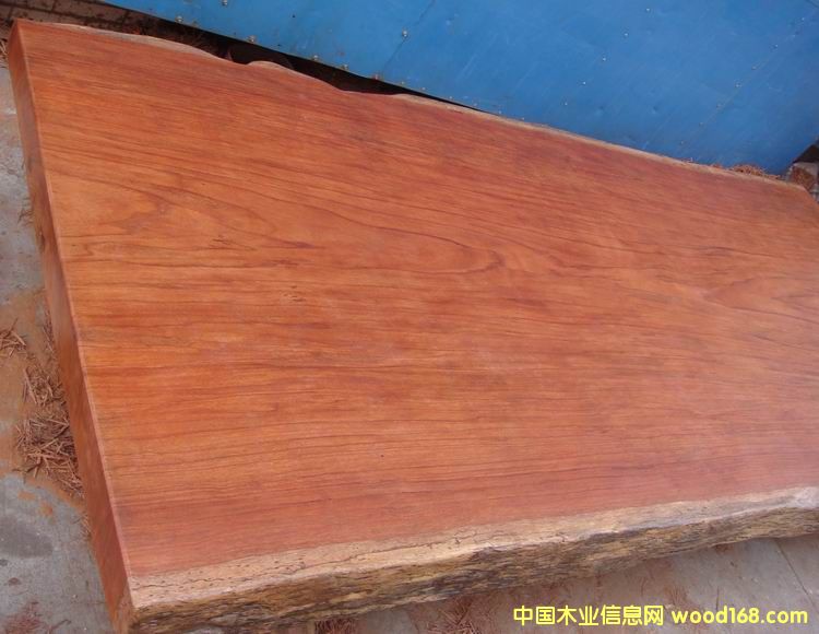 �c���鿴����ľ���Ŵ�DƬ